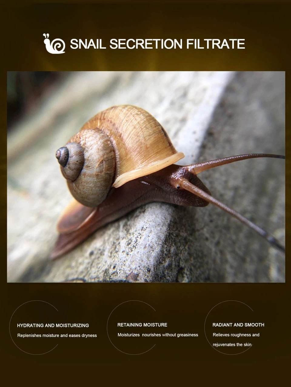 Snail Essence Anti-wrinkle And Anti-aging Skin Care Set